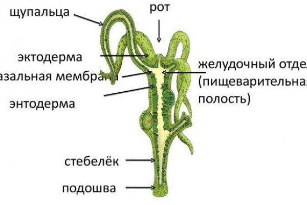 Кракен сайт kraken014 com